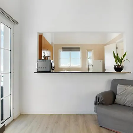 Jay Paradise * Santa Cruz (Madeira)